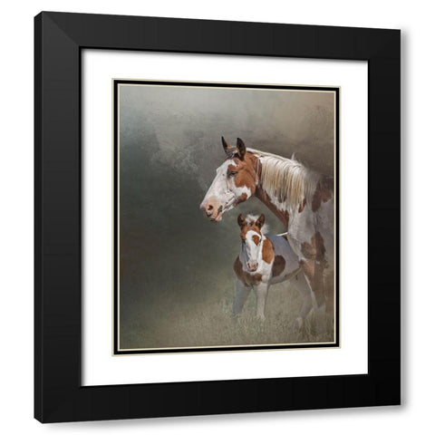 Chinook and Her Foal Black Modern Wood Framed Art Print with Double Matting by McFerrin, Larry