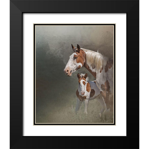 Chinook and Her Foal Black Modern Wood Framed Art Print with Double Matting by McFerrin, Larry