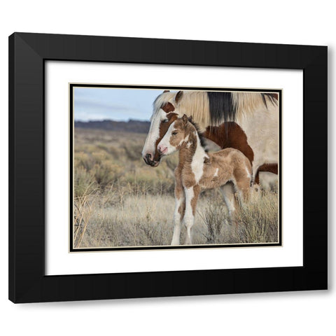 Lady Braveheart and Filly Black Modern Wood Framed Art Print with Double Matting by McFerrin, Larry