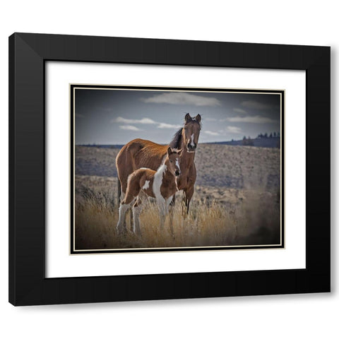 Sequoyah Colt Black Modern Wood Framed Art Print with Double Matting by McFerrin, Larry