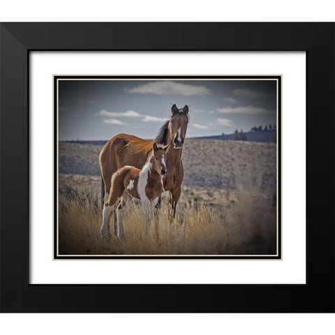 Sequoyah Colt Black Modern Wood Framed Art Print with Double Matting by McFerrin, Larry