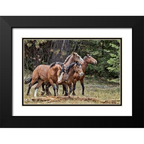 Dreamsickle, Scarbutt and Bachelors Black Modern Wood Framed Art Print with Double Matting by McFerrin, Larry