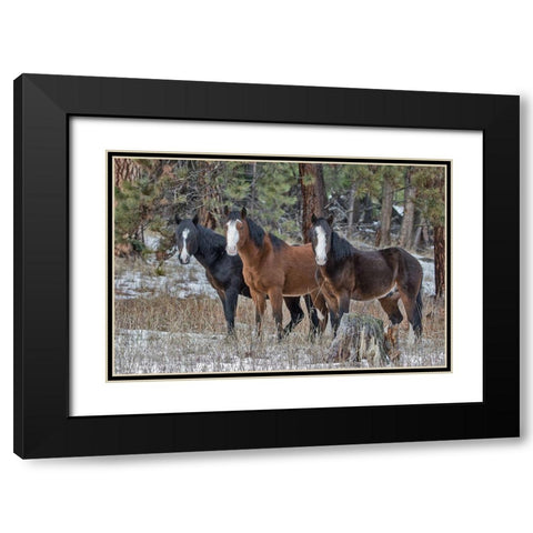 Ochoco Bachelors Black Modern Wood Framed Art Print with Double Matting by McFerrin, Larry