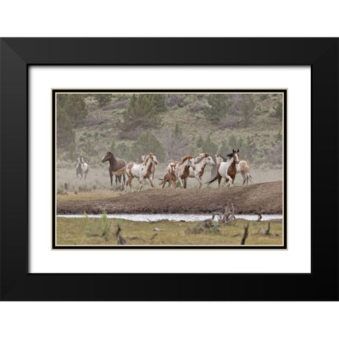 Ditto-Galileo Band Black Modern Wood Framed Art Print with Double Matting by McFerrin, Larry