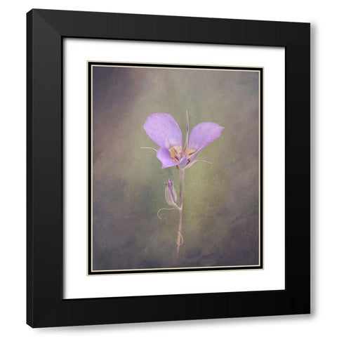 Sagebrush Mariposa Lily Black Modern Wood Framed Art Print with Double Matting by McFerrin, Larry