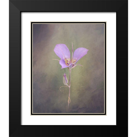 Sagebrush Mariposa Lily Black Modern Wood Framed Art Print with Double Matting by McFerrin, Larry