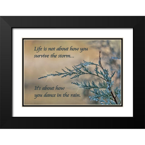 Dance in the Rain Black Modern Wood Framed Art Print with Double Matting by McFerrin, Larry