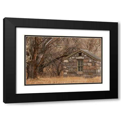 Stone Cabin Black Modern Wood Framed Art Print with Double Matting by McFerrin, Larry