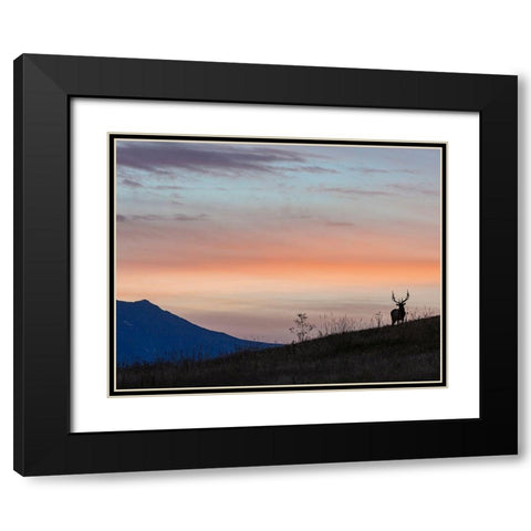 Elkscape Black Modern Wood Framed Art Print with Double Matting by McFerrin, Larry
