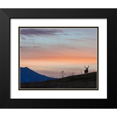 Elkscape Black Modern Wood Framed Art Print with Double Matting by McFerrin, Larry