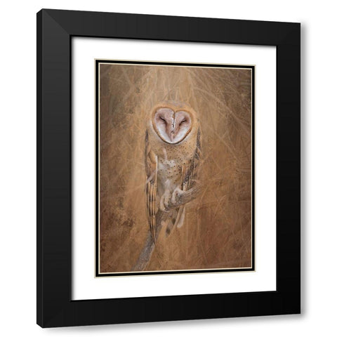 Barn Owl Black Modern Wood Framed Art Print with Double Matting by McFerrin, Larry