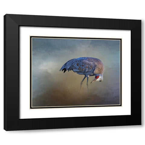 Sandhill Crane Black Modern Wood Framed Art Print with Double Matting by McFerrin, Larry