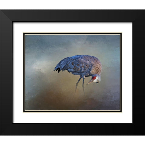Sandhill Crane Black Modern Wood Framed Art Print with Double Matting by McFerrin, Larry