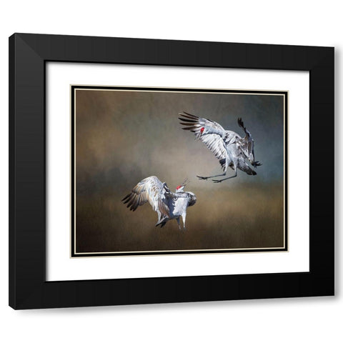 Sandhill Cranes Black Modern Wood Framed Art Print with Double Matting by McFerrin, Larry
