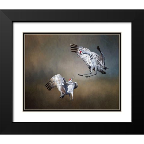 Sandhill Cranes Black Modern Wood Framed Art Print with Double Matting by McFerrin, Larry