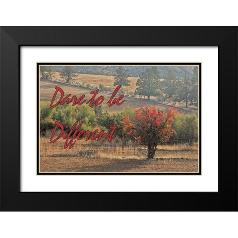 Dare to be Different Black Modern Wood Framed Art Print with Double Matting by McFerrin, Larry