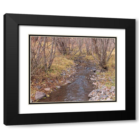 Ochoco Creek Black Modern Wood Framed Art Print with Double Matting by McFerrin, Larry