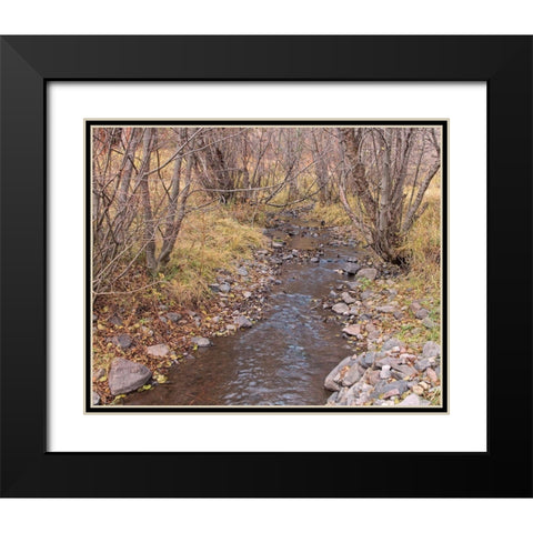 Ochoco Creek Black Modern Wood Framed Art Print with Double Matting by McFerrin, Larry