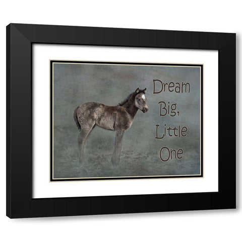 Dream Big Black Modern Wood Framed Art Print with Double Matting by McFerrin, Larry