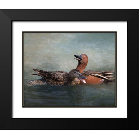 Cinnamon Teal Pair Black Modern Wood Framed Art Print with Double Matting by McFerrin, Larry