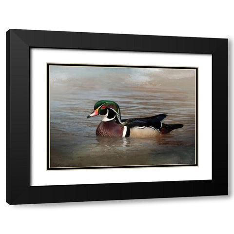 Wood Duck Black Modern Wood Framed Art Print with Double Matting by McFerrin, Larry