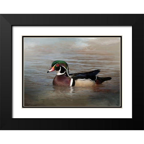 Wood Duck Black Modern Wood Framed Art Print with Double Matting by McFerrin, Larry