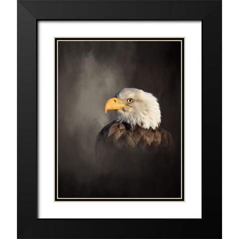 Bald Eagle Black Modern Wood Framed Art Print with Double Matting by McFerrin, Larry