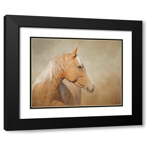 Silk - Mustang Mare Black Modern Wood Framed Art Print with Double Matting by McFerrin, Larry