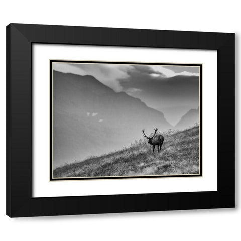 Big Country Bull Black Modern Wood Framed Art Print with Double Matting by McFerrin, Larry