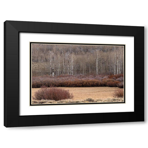 Steens Mountain Meadow Black Modern Wood Framed Art Print with Double Matting by McFerrin, Larry