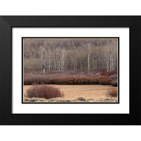 Steens Mountain Meadow Black Modern Wood Framed Art Print with Double Matting by McFerrin, Larry