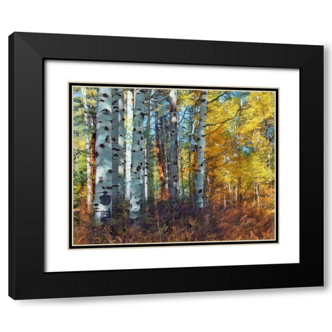 Autumn Aspens Black Modern Wood Framed Art Print with Double Matting by McFerrin, Larry