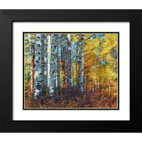Autumn Aspens Black Modern Wood Framed Art Print with Double Matting by McFerrin, Larry