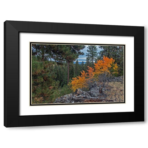 Aspen Blaze Black Modern Wood Framed Art Print with Double Matting by McFerrin, Larry