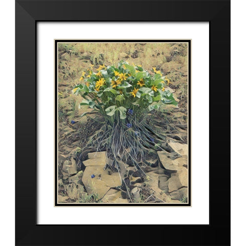 Desert Bouquet Black Modern Wood Framed Art Print with Double Matting by McFerrin, Larry