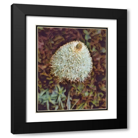 Gemstone Bear Grass Black Modern Wood Framed Art Print with Double Matting by McFerrin, Larry