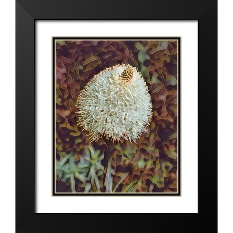 Gemstone Bear Grass Black Modern Wood Framed Art Print with Double Matting by McFerrin, Larry