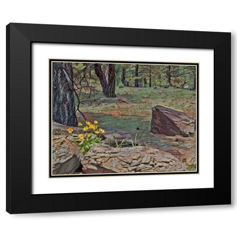 Mules Ears in Forest Black Modern Wood Framed Art Print with Double Matting by McFerrin, Larry