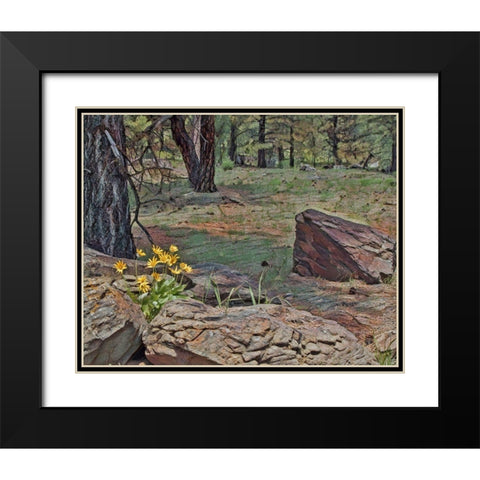 Mules Ears in Forest Black Modern Wood Framed Art Print with Double Matting by McFerrin, Larry