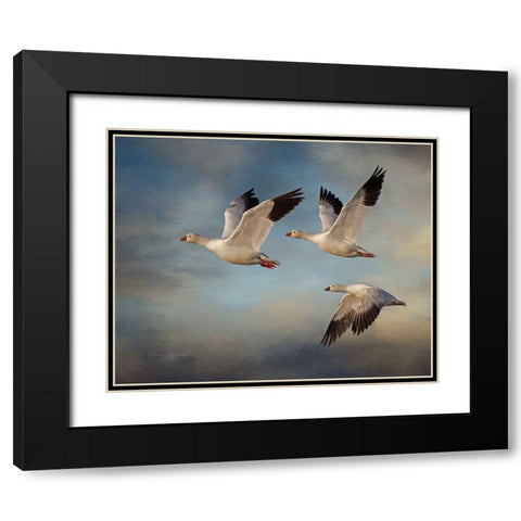 Snow Geese Black Modern Wood Framed Art Print with Double Matting by McFerrin, Larry