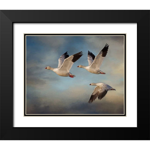 Snow Geese Black Modern Wood Framed Art Print with Double Matting by McFerrin, Larry