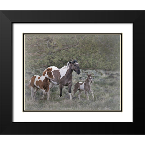 Legend-Aura-and Storm Black Modern Wood Framed Art Print with Double Matting by McFerrin, Larry