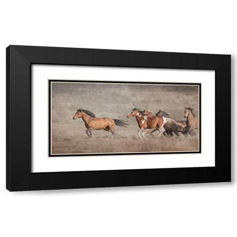 Wild Bachelors Black Modern Wood Framed Art Print with Double Matting by McFerrin, Larry