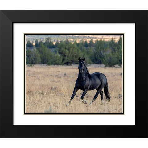 Intense Black Modern Wood Framed Art Print with Double Matting by McFerrin, Larry