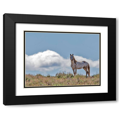 War Chief Black Modern Wood Framed Art Print with Double Matting by McFerrin, Larry