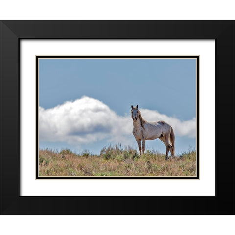 War Chief Black Modern Wood Framed Art Print with Double Matting by McFerrin, Larry