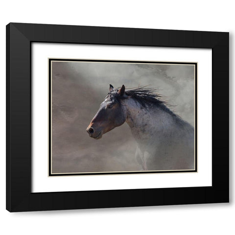 Back Country Roan Black Modern Wood Framed Art Print with Double Matting by McFerrin, Larry