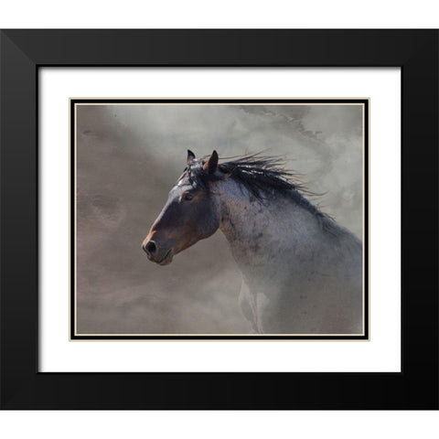 Back Country Roan Black Modern Wood Framed Art Print with Double Matting by McFerrin, Larry