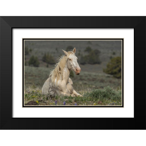 Survivor Black Modern Wood Framed Art Print with Double Matting by McFerrin, Larry