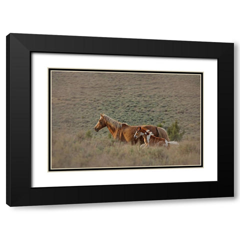 Aztec Band Black Modern Wood Framed Art Print with Double Matting by McFerrin, Larry